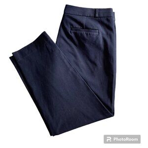 Banana Republic Navy Pant - 14